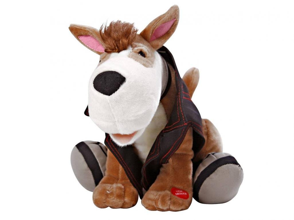 cachorro-spock-candide-1392