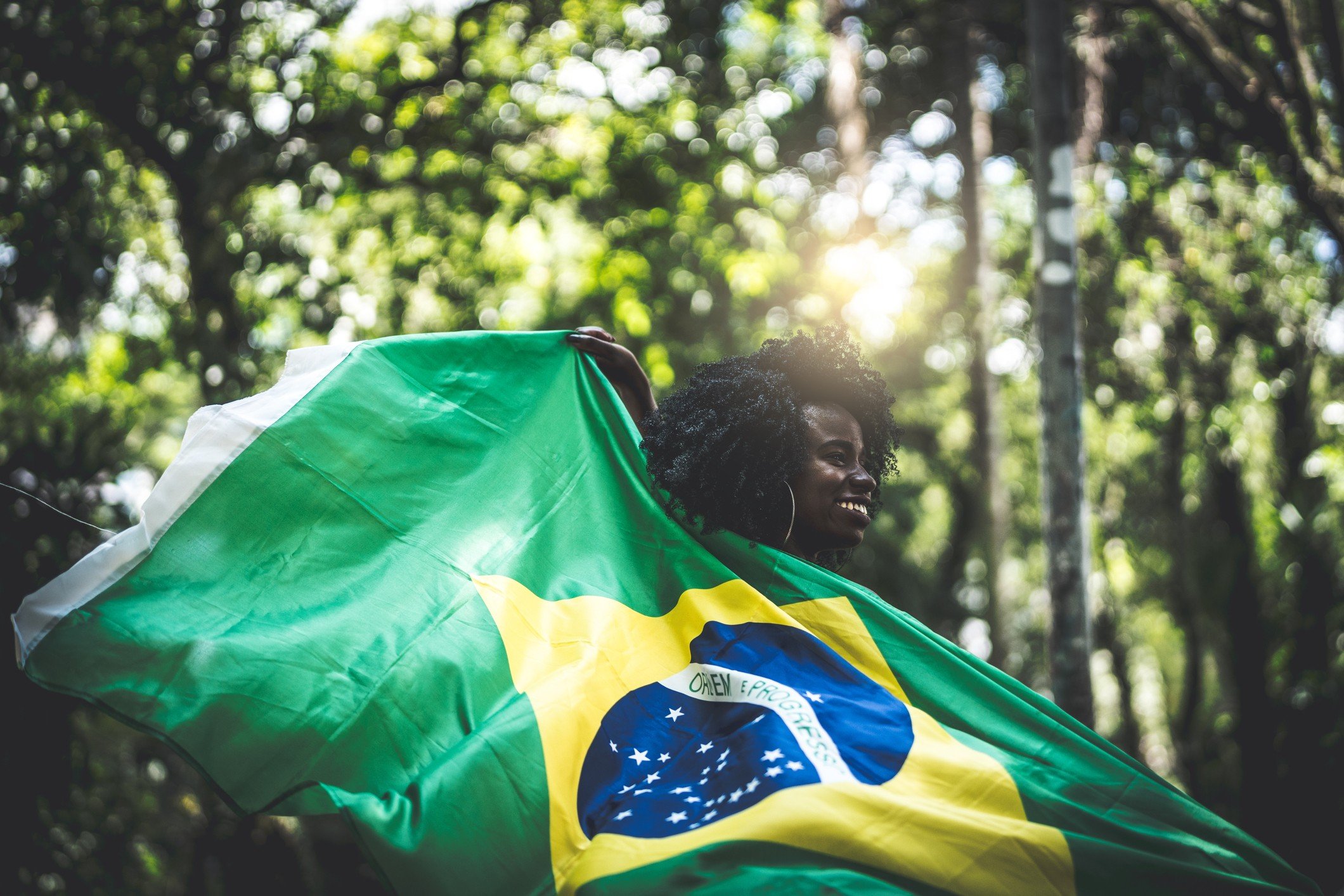 Bandeira do Brasil: o que significa - Lu Explica - Magazine Luiza