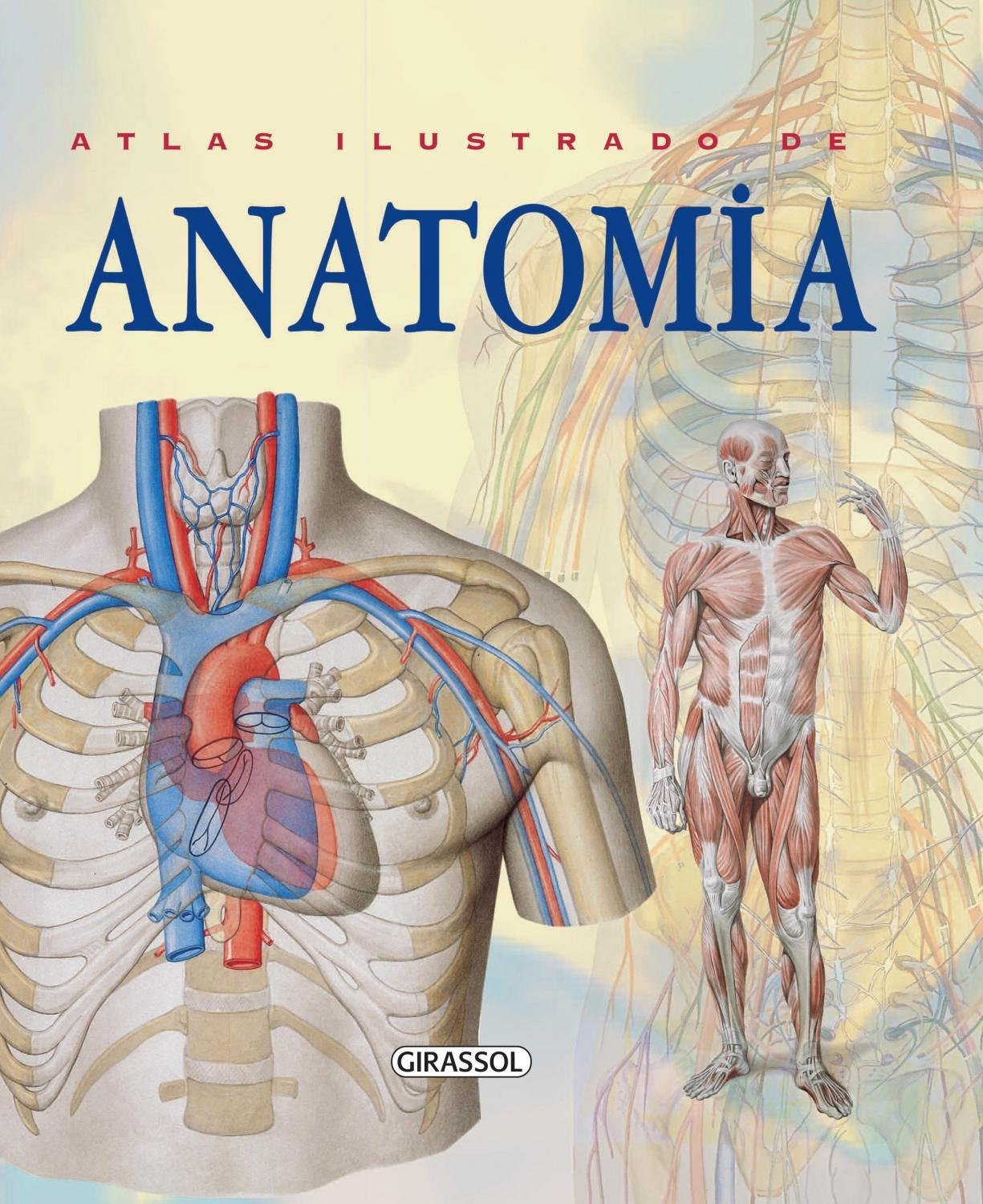 4 Livros De Anatomia Humana Lu Explica Magazine Luiza 0140