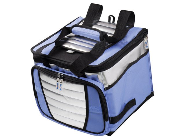 snack cooler bolsa