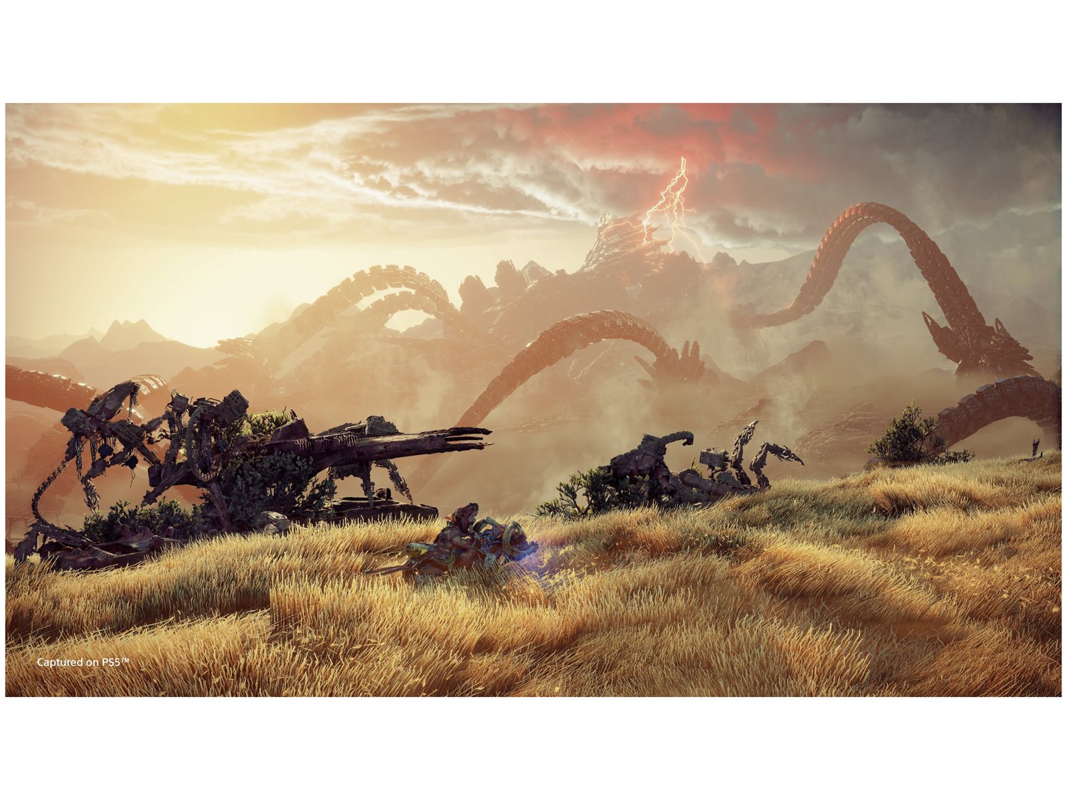 Horizon Forbidden West para PS5 Guerrilla Games - Lançamento - 3