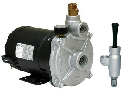 Bomba de Água Ejetora Elétrica Dancor 245,166W - 300L/Hora EP 2-1